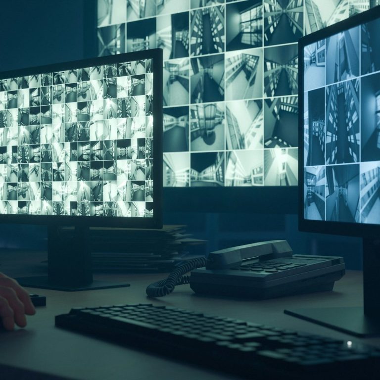 Télésurveillance professionnels et particuliers